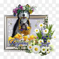 ��������л�����С����-������