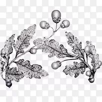 �����鱦�����ɫ�鱦-������