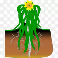 园林剪贴画设计-空若网 园林剪贴画设计-空若网