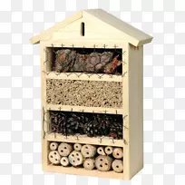 �Ʒ������ù�-������