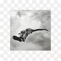 黑白摄影治疗癌症猫叶风-空若网 黑白摄影治疗癌症猫叶风-空若网