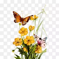 ����������ˢ���������-������