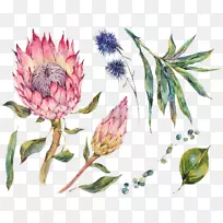 水彩画摄影.水彩画花-空若网 水彩画摄影.水彩画花-空若网