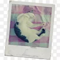 Ë®²Ê»»¿ò¶¯Îï»æ»-¿ÕÈôÍø Ë®²Ê»»¿ò¶¯Îï»æ»-¿ÕÈôÍø