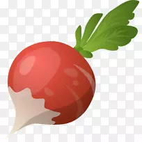 蔬菜台康萝卜甜菜健康蔬菜-空若网 蔬菜台康萝卜甜菜健康蔬菜-空若网