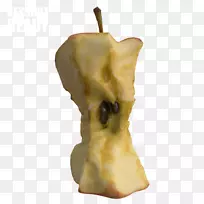 鼻形核心-空若网 鼻形核心-空若网