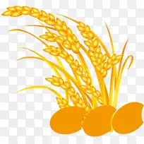 大米下载五种谷物-黄米,淘宝材料,谷-空若网 大米下载五种谷物-黄米,淘宝材料,谷-空若网