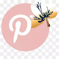 昆虫传粉器花瓣剪贴画-销售漏斗-空若网 昆虫传粉器花瓣剪贴画-销售漏斗-空若网