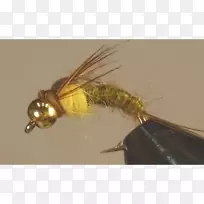 昆虫人工蝇-空若网 昆虫人工蝇-空若网