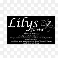 角蛋白巧克力品牌字体-巧克力-空若网 角蛋白巧克力品牌字体-巧克力-空若网