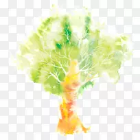 水彩画插图.水彩画树-空若网 水彩画插图.水彩画树-空若网