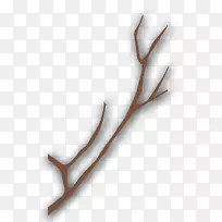 灰色树枝-灰色树枝-空若网 灰色树枝-灰色树枝-空若网