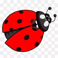 Ů�������-���-������