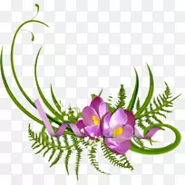 �����ֽ��������-������