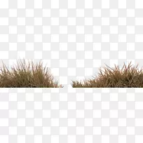 �������-��ɫ�򵥲�װ��ͼ��-������