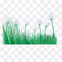 Primavera卡通片艺术-卡通春花鲜草-空若网 Primavera卡通片艺术-卡通春花鲜草-空若网