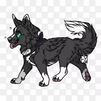 犬种胡须传奇生物鼻子犬-空若网 犬种胡须传奇生物鼻子犬-空若网