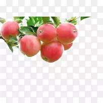 ƻ������ˮ��ʢ��-��ͨ3Dͼ��ʳƷͼ��-������