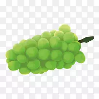 卡通画食品卡通图片卡通3D创意水果-空若网 卡通画食品卡通图片卡通3D创意水果-空若网