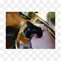 轮指设计-空若网 轮指设计-空若网