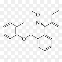 ���ữѧCA�ǼǺŰ�����-�׻���-������