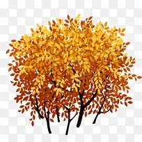 ��ľ��������֦-������