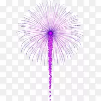 Adobe烟花-黑色图片的紫色烟花-PNG剪贴画-空若网 Adobe烟花-黑色图片的紫色烟花-PNG剪贴画-空若网