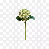 绣球花设计切花花束-空若网 绣球花设计切花花束-空若网