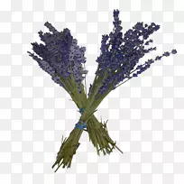 Ӣ��޹�²ݷ���޹�²�ֲ֦�ﾥ���-������