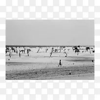 巴西摄影师摄影新闻摄影记者-摄影师-空若网 巴西摄影师摄影新闻摄影记者-摄影师-空若网