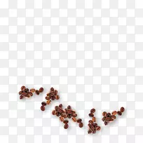 超级食品-希腊咖啡-空若网 超级食品-希腊咖啡-空若网