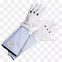 手套手指花园-罗西-空若网 手套手指花园-罗西-空若网