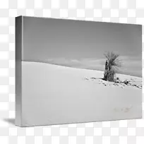 ��ɫ���������-������