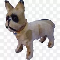 犬种小狗伴犬鼻子-小狗-空若网 犬种小狗伴犬鼻子-小狗-空若网