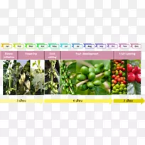 ÅÁ¿ËËÉ¿§·È²©ÀÎĸßÔ¿¨·¨Ê¡Ê߲˿§·È-¿ÕÈôÍø ÅÁ¿ËËÉ¿§·È²©ÀÎĸßÔ¿¨·¨Ê¡Ê߲˿§·È-¿ÕÈôÍø