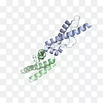 人体珠宝.智人-空若网 人体珠宝.智人-空若网