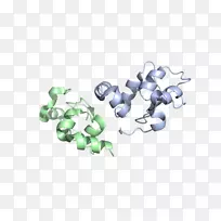 塑料车身首饰.智人-空若网 塑料车身首饰.智人-空若网