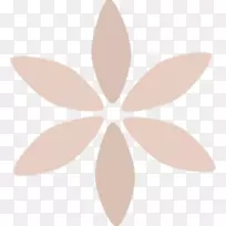 �Գƽ����-������