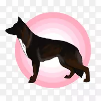 犬种-空若网 犬种-空若网