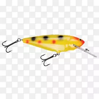 匙诱昆虫-空若网 匙诱昆虫-空若网