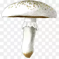 水彩画艺术-空若网 水彩画艺术-空若网