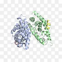 珠体珠宝.智人-空若网 珠体珠宝.智人-空若网