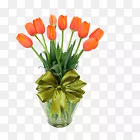郁金香花型切花-空若网 郁金香花型切花-空若网