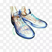 �˶�Ь����ѵ�����-������