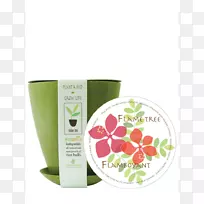 花盆奶油-火焰树-空若网 花盆奶油-火焰树-空若网