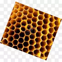 昆虫蜂巢-空若网 昆虫蜂巢-空若网