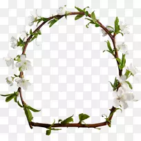 ֽ����-���������㻷-������