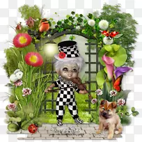 ������ƹ���ֲ��Ȯ��-������