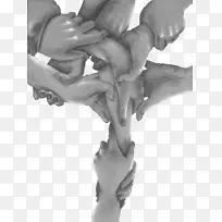 脊椎、人体解剖、手指、骨骼-骨骼-空若网 脊椎、人体解剖、手指、骨骼-骨骼-空若网