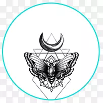 �������װ��������������������-������